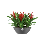 brussels ovaal 36cm antraciet